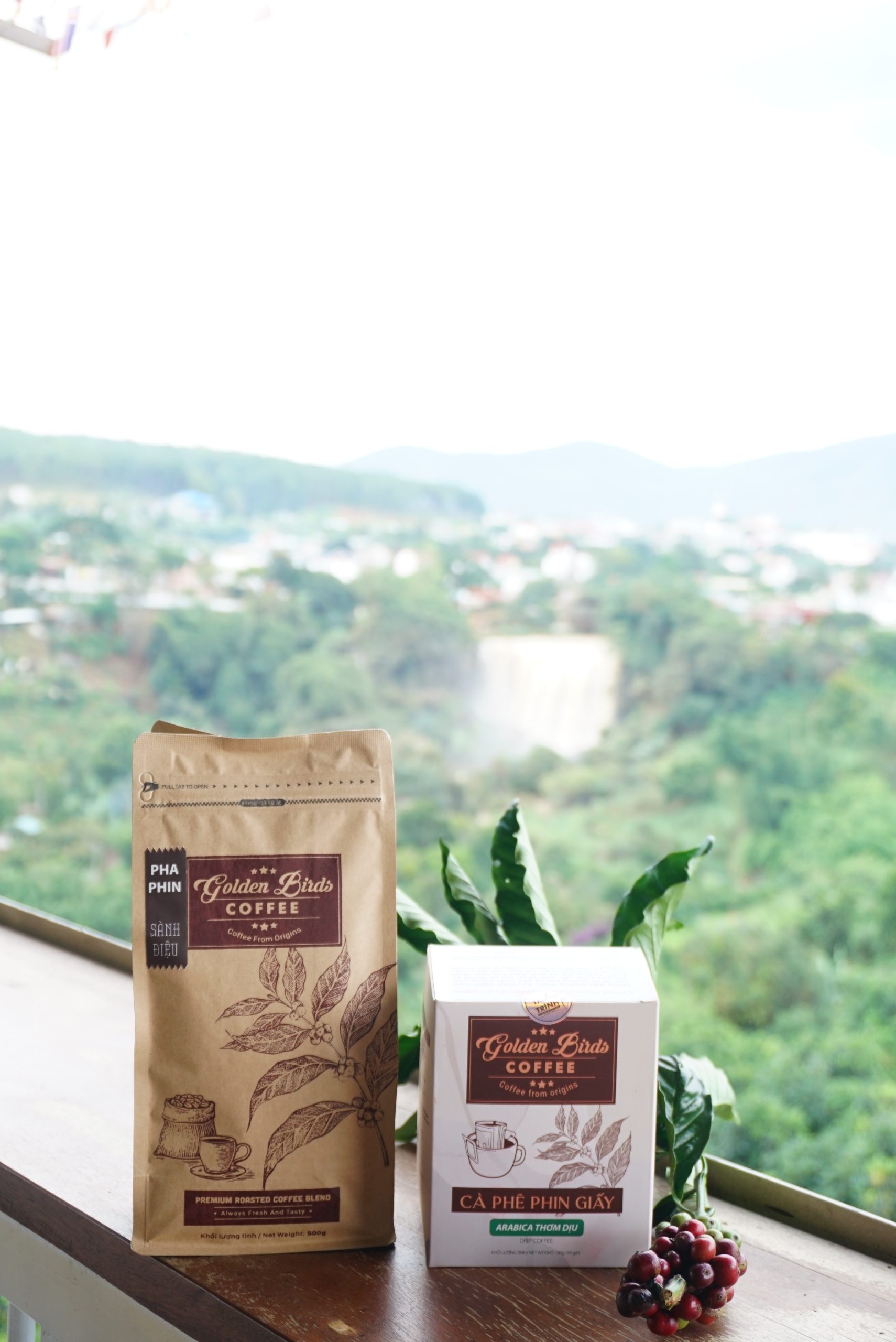 Fine Robusta